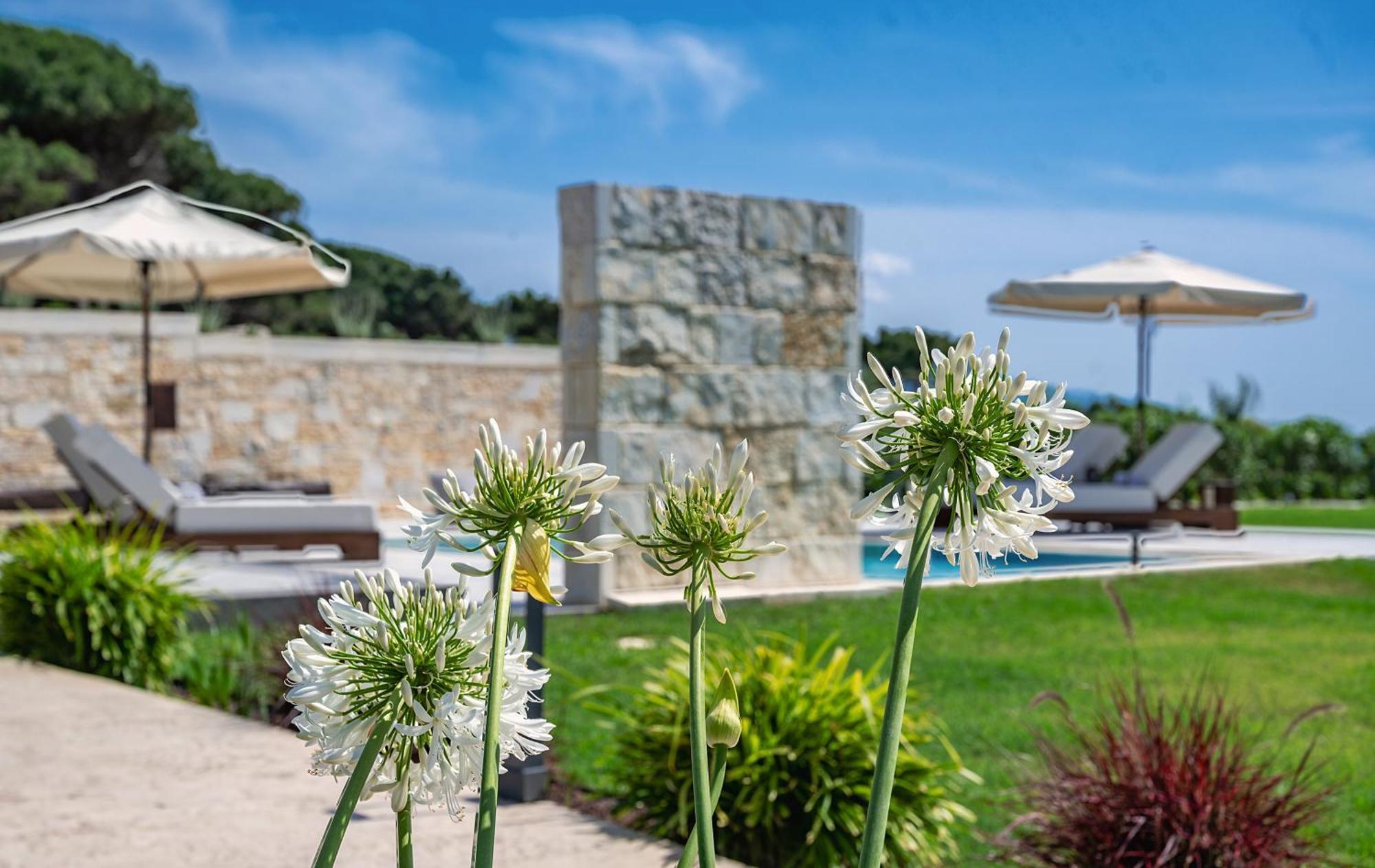 Theluxuryvillas Превеза Экстерьер фото